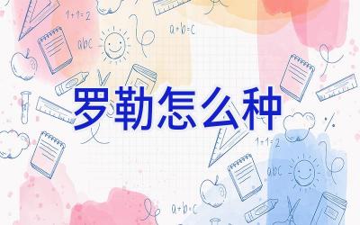 罗勒怎么种插图