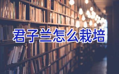 君子兰怎么栽培插图