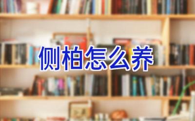 侧柏怎么养插图