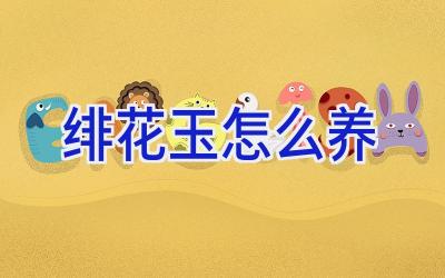 绯花玉怎么养插图 绯花玉怎么养插图