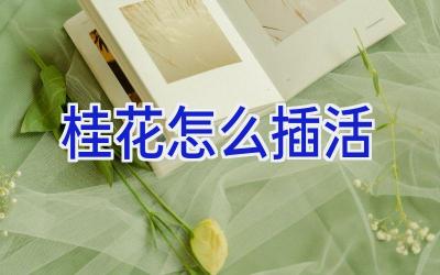 桂花怎么插活插图 桂花怎么插活插图