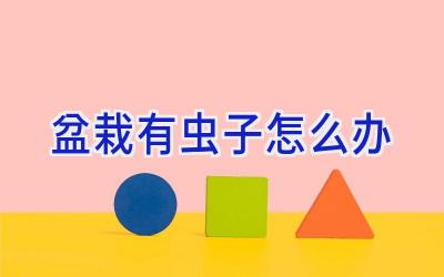 盆栽有虫子怎么办插图 盆栽有虫子怎么办插图