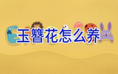 玉簪花怎么养插图