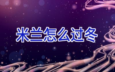 米兰怎么过冬插图