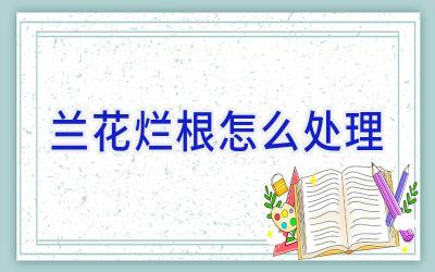 兰花烂根怎么处理插图 兰花烂根怎么处理插图