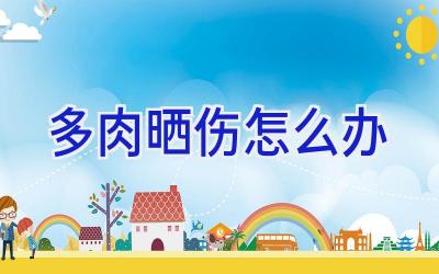 多肉晒伤怎么办插图