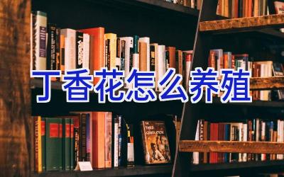 丁香花怎么养殖插图