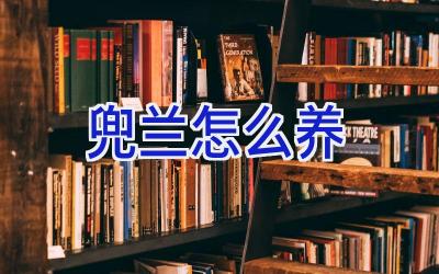 兜兰怎么养插图 兜兰怎么养插图