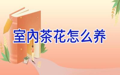 室内茶花怎么养插图 室内茶花怎么养插图