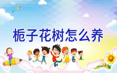 栀子花树怎么养插图