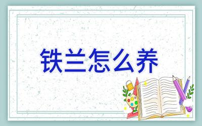 铁兰怎么养插图 铁兰怎么养插图