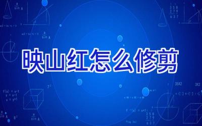 映山红怎么修剪插图 映山红怎么修剪插图