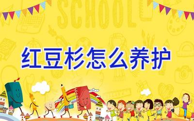 红豆杉怎么养护插图 红豆杉怎么养护插图