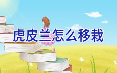 虎皮兰怎么移栽插图