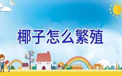 椰子怎么繁殖插图 椰子怎么繁殖插图