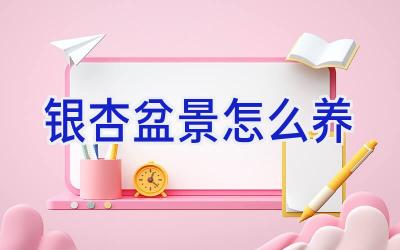 银杏盆景怎么养插图 银杏盆景怎么养插图