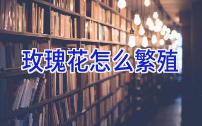 玫瑰花怎么繁殖插图 玫瑰花怎么繁殖插图