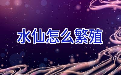 水仙怎么繁殖插图 水仙怎么繁殖插图