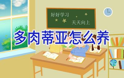 多肉蒂亚怎么养插图