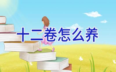 十二卷怎么养插图 十二卷怎么养插图