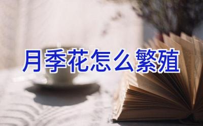 月季花怎么繁殖插图 月季花怎么繁殖插图