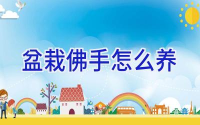 盆栽佛手怎么养插图 盆栽佛手怎么养插图