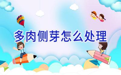 多肉侧芽怎么处理插图