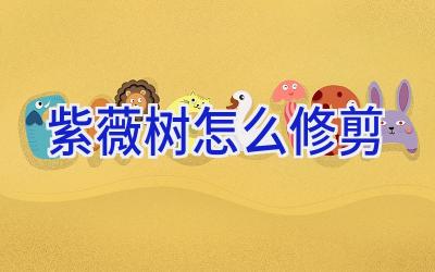 紫薇树怎么修剪插图