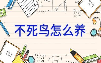 不死鸟怎么养插图 不死鸟怎么养插图