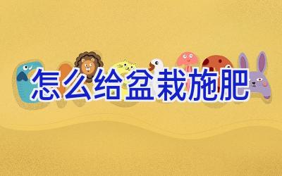 怎么给盆栽施肥插图 怎么给盆栽施肥插图