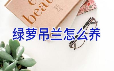 绿萝吊兰怎么养插图