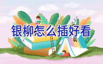 银柳怎么插好看插图 银柳怎么插好看插图