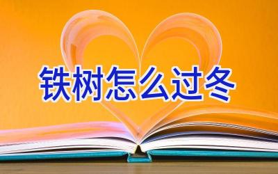 铁树怎么过冬插图 铁树怎么过冬插图