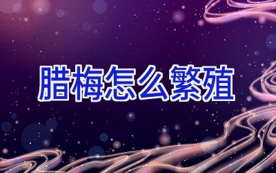 腊梅怎么繁殖插图