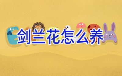 剑兰花怎么养插图