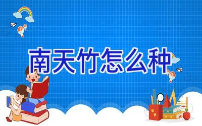 南天竹怎么种插图 南天竹怎么种插图