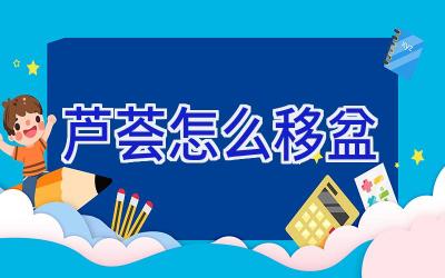 芦荟怎么移盆插图 芦荟怎么移盆插图