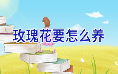 玫瑰花要怎么养插图 玫瑰花要怎么养插图