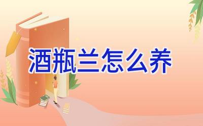 酒瓶兰怎么养插图 酒瓶兰怎么养插图