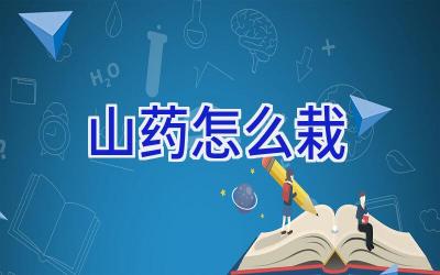 山药怎么栽插图 山药怎么栽插图