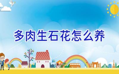 多肉生石花怎么养插图