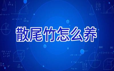 散尾竹怎么养插图 散尾竹怎么养插图