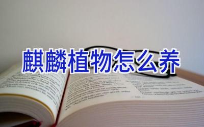 麒麟植物怎么养插图 麒麟植物怎么养插图