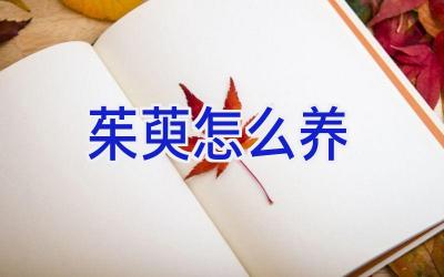 茱萸怎么养插图