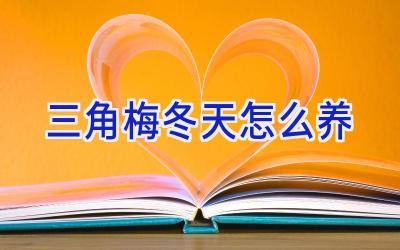 三角梅冬天怎么养插图