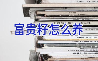 富贵籽怎么养插图 富贵籽怎么养插图