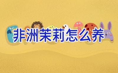 非洲茉莉怎么养插图