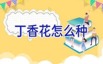 丁香花怎么种插图 丁香花怎么种插图