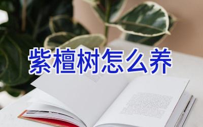 紫檀树怎么养插图 紫檀树怎么养插图