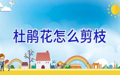 杜鹃花怎么剪枝插图 杜鹃花怎么剪枝插图